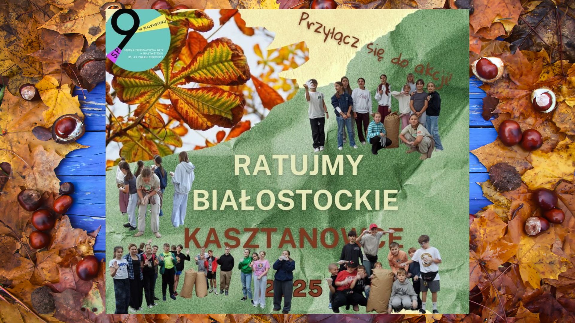 Ratujemy białostockie kasztanowce.jpg
