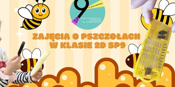 Zajęcia o Pszczołach w Klasie 2D SP91.jpg