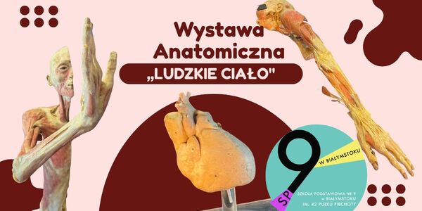 1wystawa.jpg