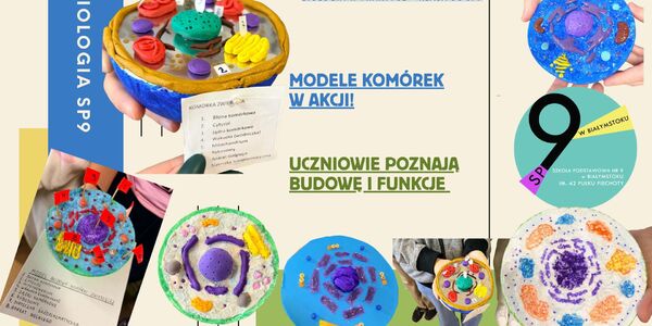 (Polish) (1).jpg